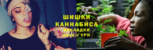 прущие грибы Каменногорск