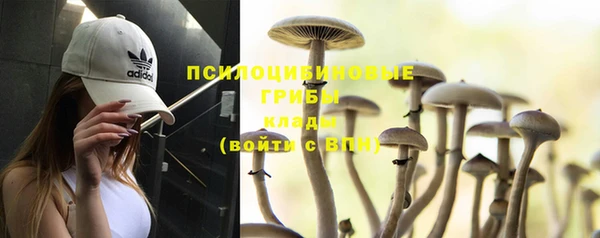 амф Волосово